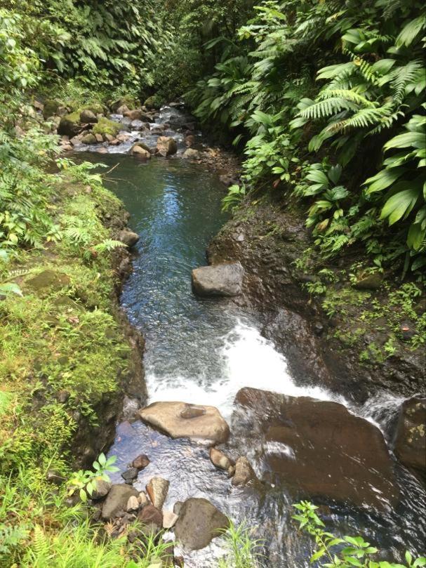MALAKA F1 TOUT CONFORT Le Moule avec Piscine Extérieur photo